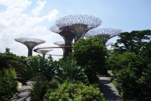 Gardens by the Bay