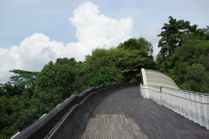 Henderson Waves
